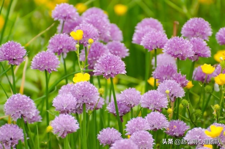 我如何用音乐训练提升孩子的心理素质，用音乐治愈自己的耳鸣