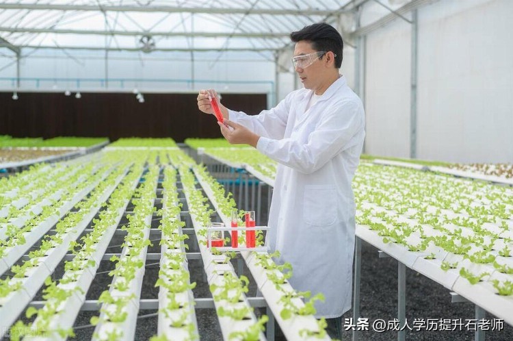 2023年武汉轻工大学成人高考函授报名专升本食品科学与工程专业