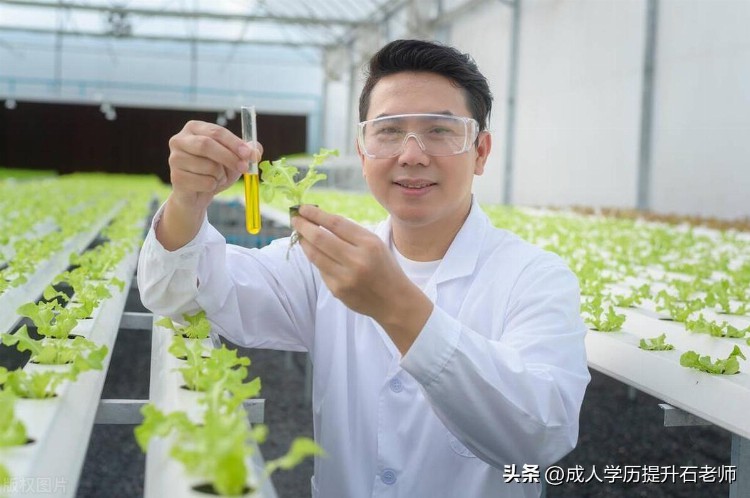 2023年武汉轻工大学成人高考函授报名专升本食品科学与工程专业