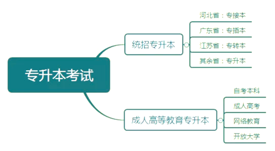 吐血整理！最全专升本经验，看我这一篇就够啦