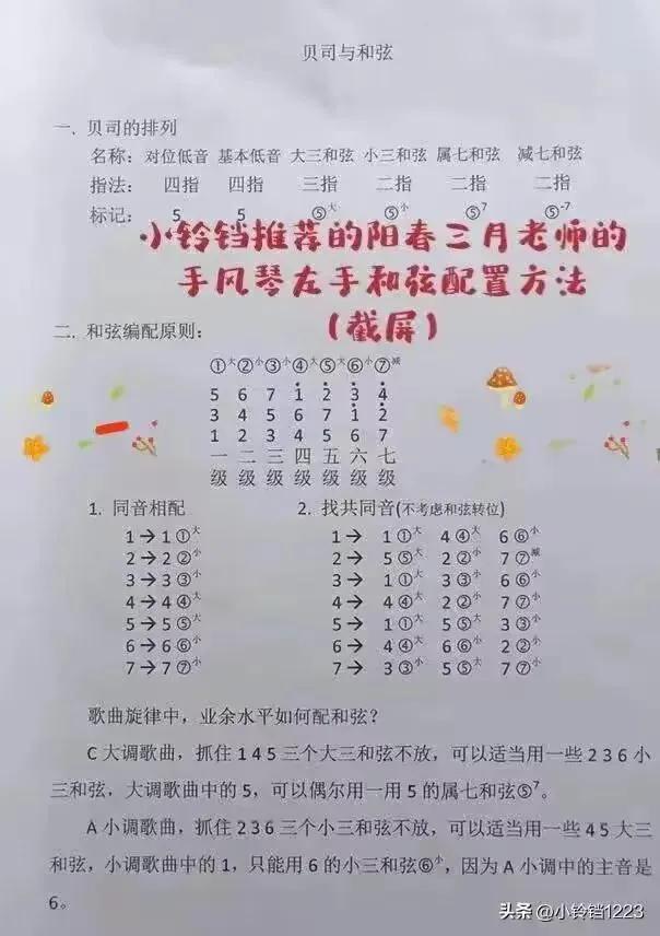 手风琴入门常识知多少?