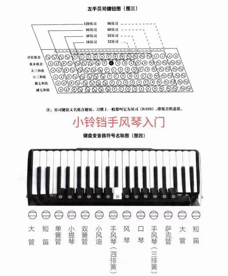 手风琴入门常识知多少?