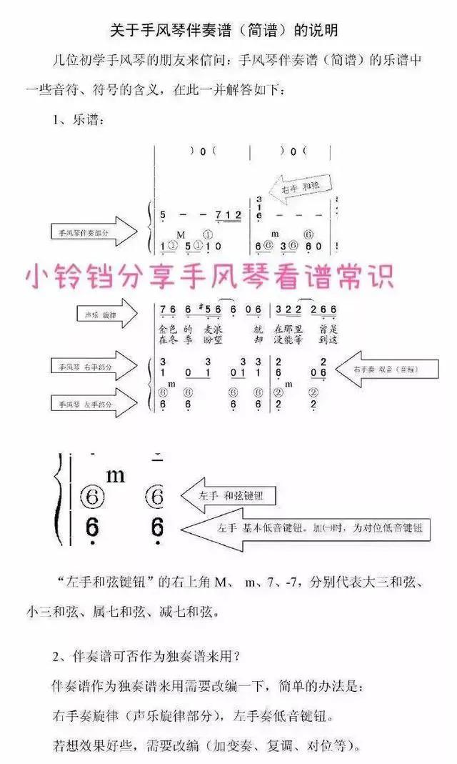 手风琴入门知识知多少？