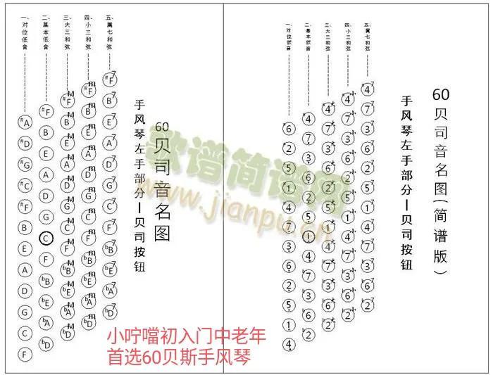 手风琴入门知识知多少？