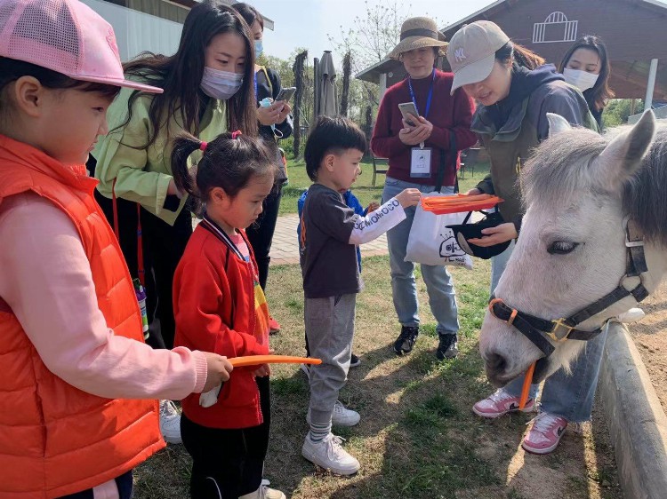 郑州市郑东新区芝麻街英语培训学校被授予剑桥CICE英语考点