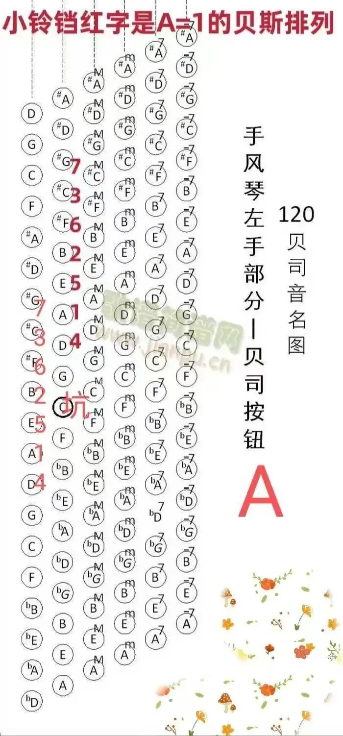 手风琴入门知识知多少？