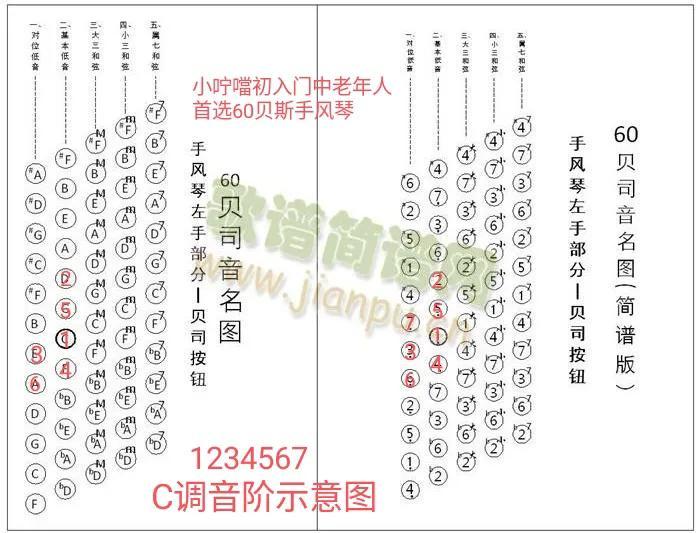 手风琴入门知识知多少？