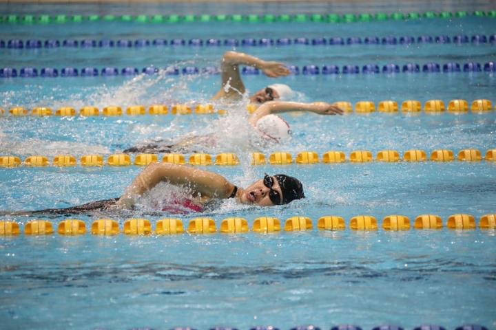 全国关注！第21届全国成人游泳锦标赛海宁开赛！