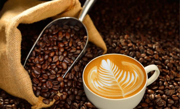 合肥庐阳人气排名好的咖啡训机培构推荐名单榜首一览自学咖啡