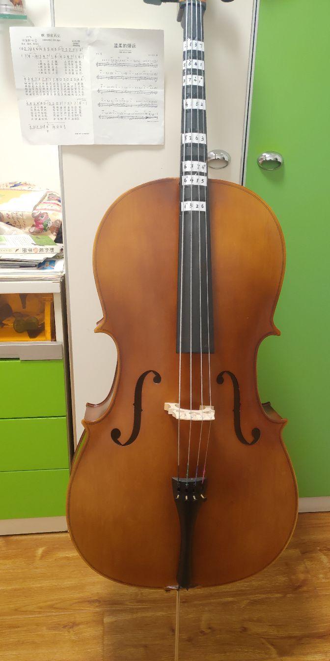 我是这样学大提琴的