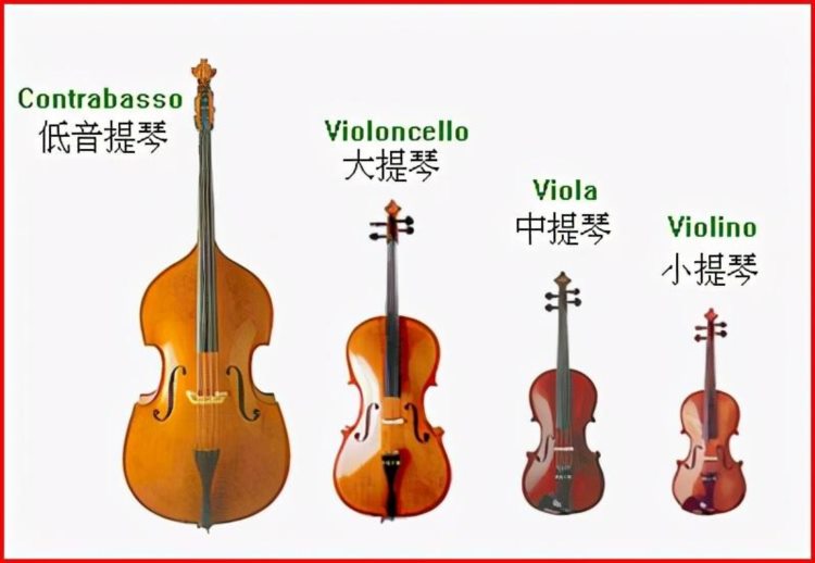 西安天堂鸟琴行分享学大提琴的注意事项