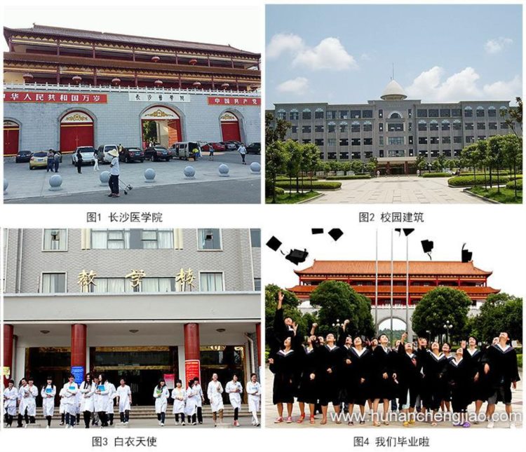 2020年湖南成人高考报考学校