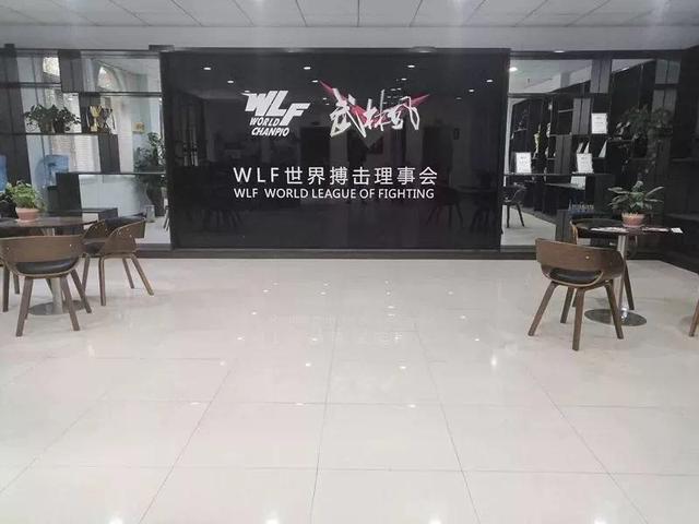 掌控擂台，从这里开始！WLF世界搏击理事会裁判员培训班火热报名