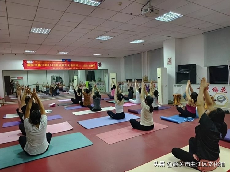 魅力瑜伽，人气登场！2023曲江区文化馆暑期公益培训——成人瑜伽班