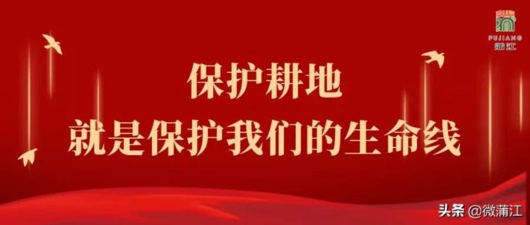 免费！2021年蒲江县文化馆成人艺术公益培训等你来报名→