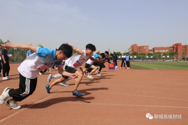 重磅｜聊城高级财经职业学校2021年招生简章发布