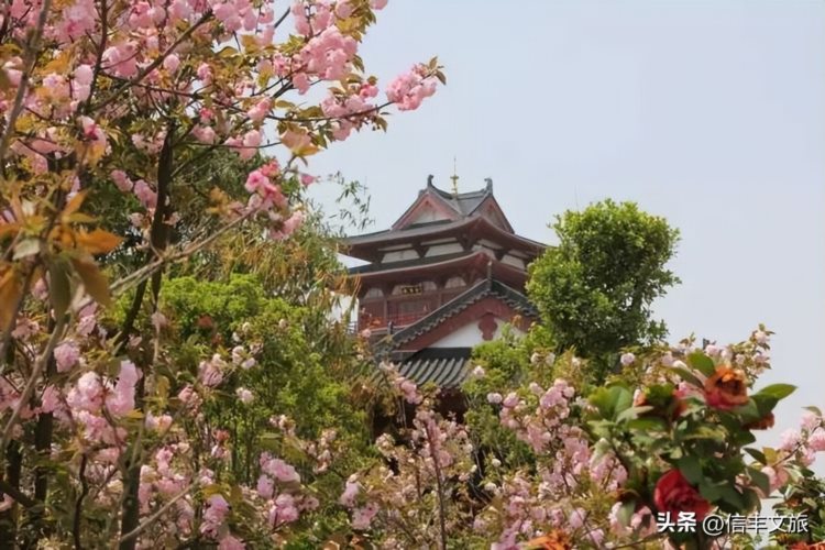 全球学子嘉游赣丨赣州文旅端午活动合集来啦！小伙伴们约起来！