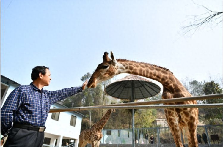 赣州森林动物园“双节同庆 免费任性”主题活动疯狂来袭！！！