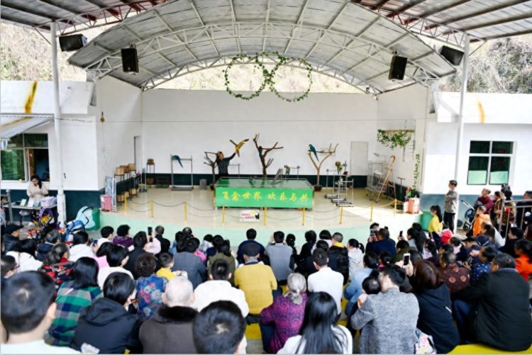 赣州森林动物园“双节同庆 免费任性”主题活动疯狂来袭！！！