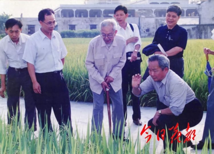 30年前的今天，花县成为历史，花都横空出世！