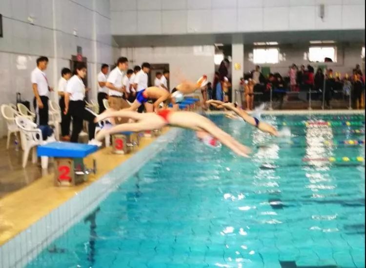 点赞！碑林区代表队在西安市中小学生游泳比赛中喜获佳绩