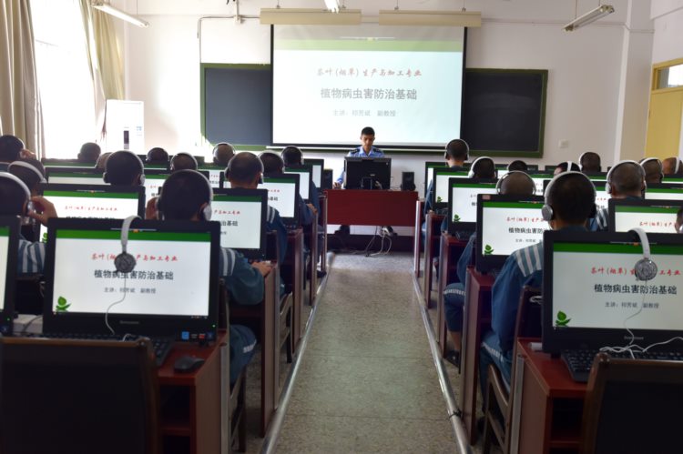 福建省监狱网络教学考试平台上线，龙岩监狱50名罪犯参加考试