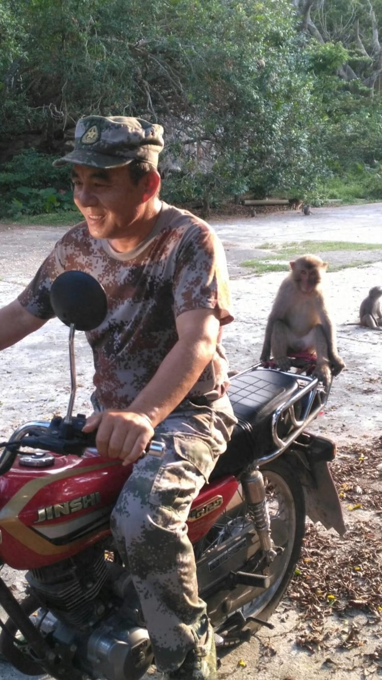 守岛33年：“猴爸爸”刘清伟和他的1300只猕猴