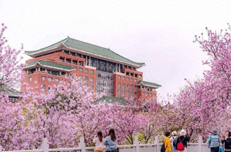 华南农业大学2022年成人高考招生简章
