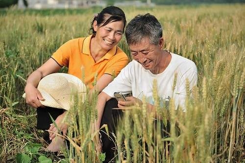 如何运用《成人教育培训三项国家标准》规范三农培训