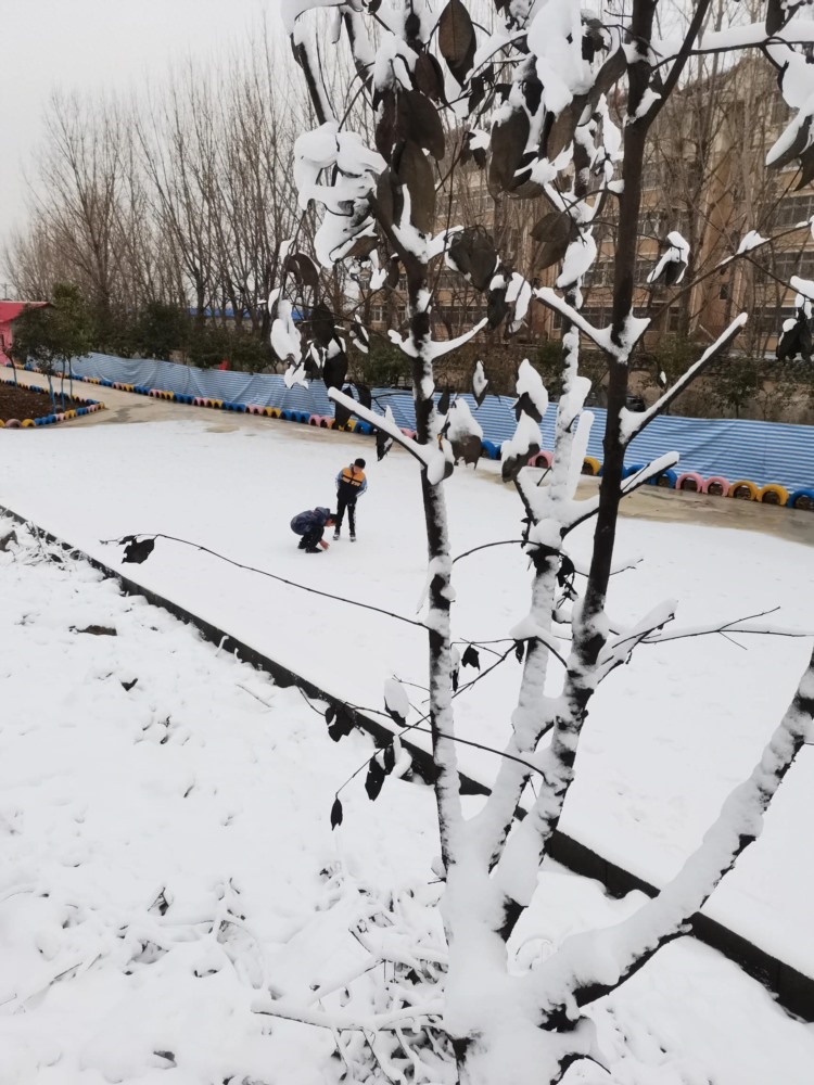 枣庄市中区冰雪大世界