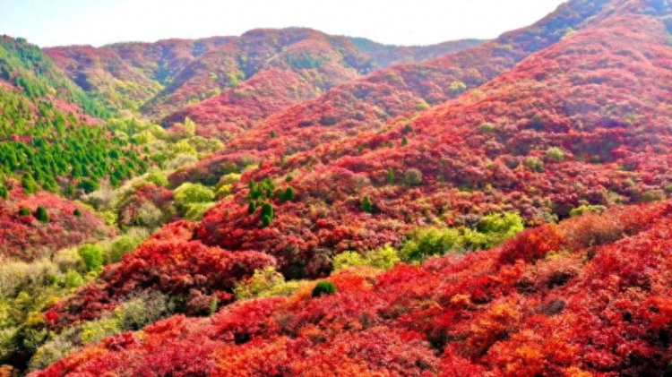 热闻｜中秋节去哪玩儿？这份济南周边景点假期出游攻略请查收