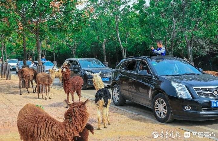 热闻｜中秋节去哪玩儿？这份济南周边景点假期出游攻略请查收