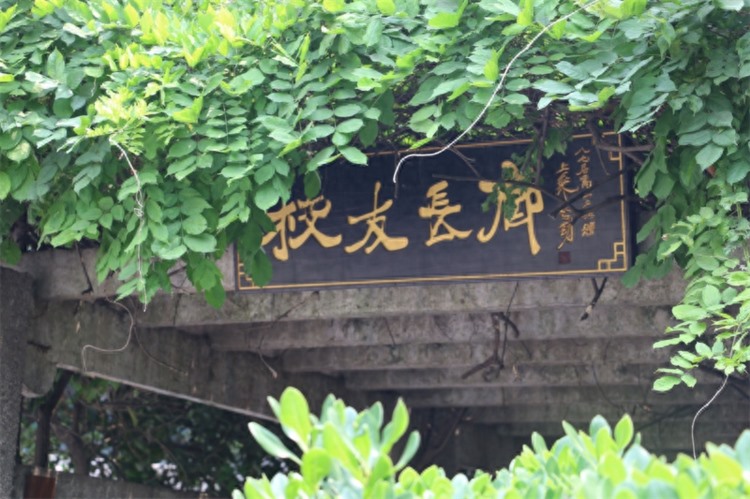 南京市第九中学：备受青睐的高中名校