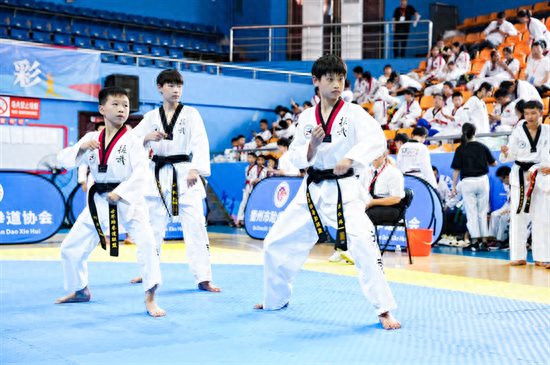 浙江省跆拳道精英挑战赛举行为山区发展贡献体育力量