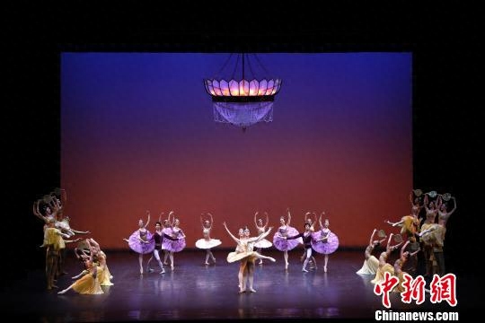 中国芭蕾领军人物共商未来十大院团展示中国芭蕾力量