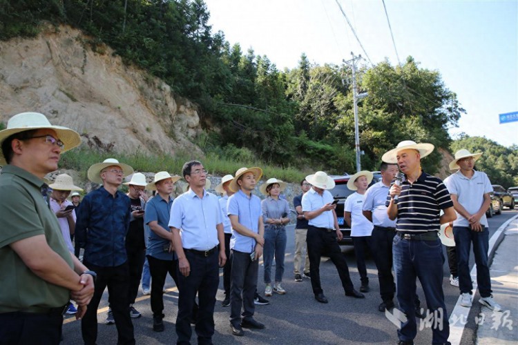 宜昌市开展林长制培训