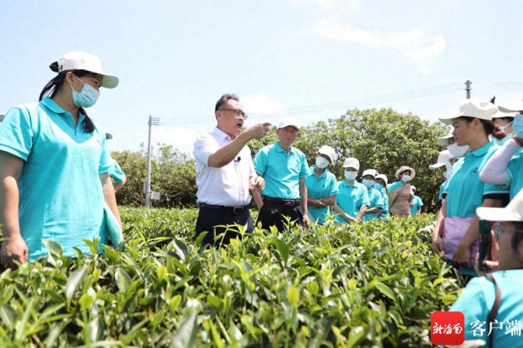 2023年海南省茶叶生产技术人员培训班在白沙开班