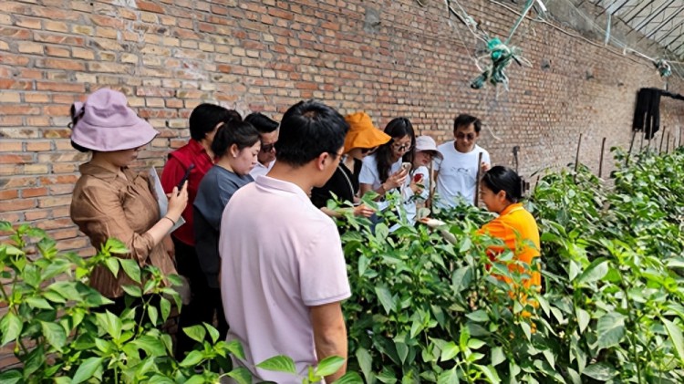 西藏昌都农业技术培训班在津成功举办