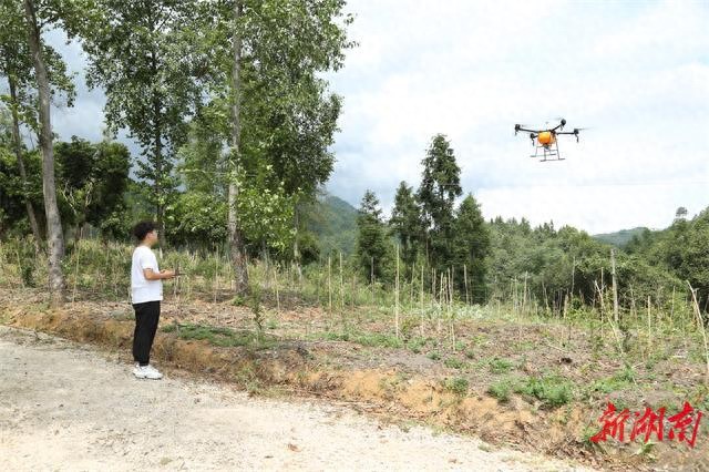 新晃：打造农业无人机应用示范科技创新教育培训基地
