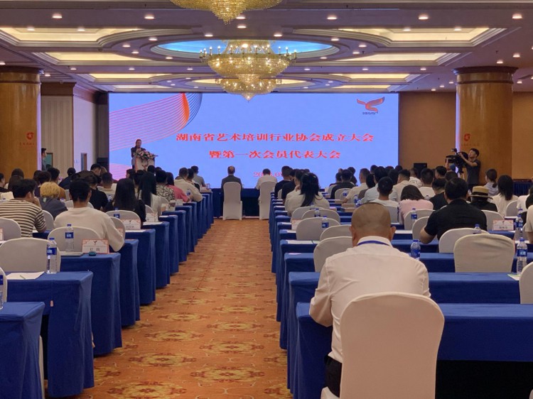 湖南省艺术培训行业协会成立，冯锐当选为会长