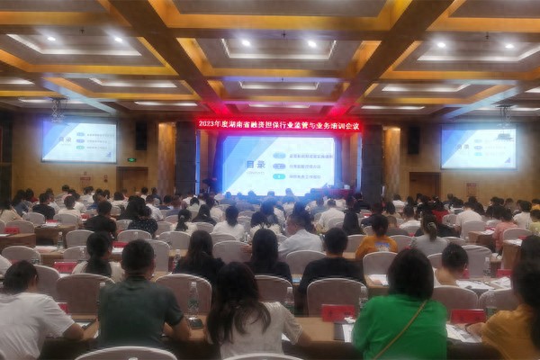 2023年湖南省融资担保行业监管与业务培训会议召开