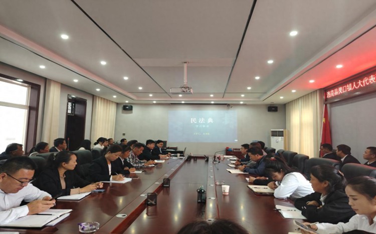 洛南县灵口镇召开人大代表素质能力提升培训会