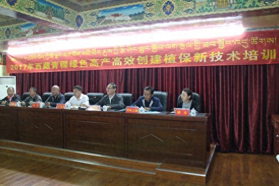 西藏青稞高产创建植保新技术培训活动在日喀则举行
