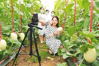 云培训释放活力：人人皆学处处能学时时可学