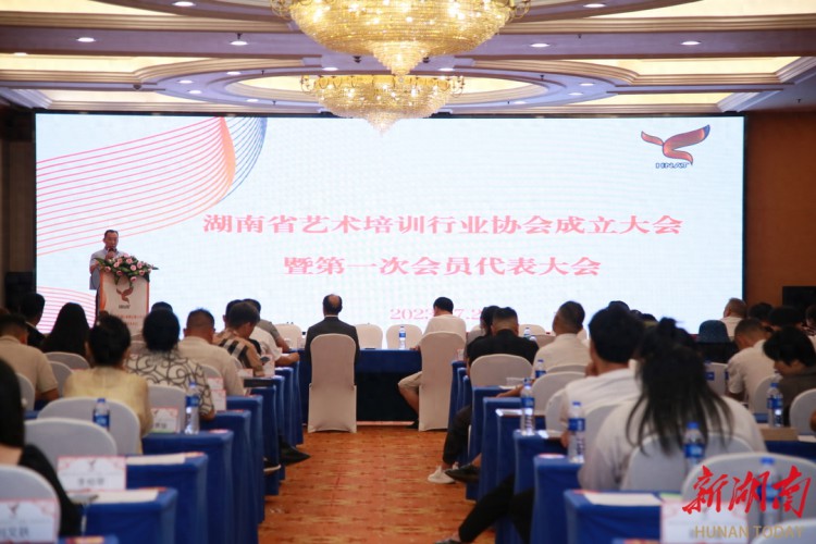 湖南省艺术培训行业协会成立