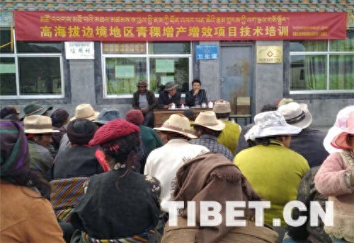 西藏夏杂村开展青稞增产增效项目技术培训