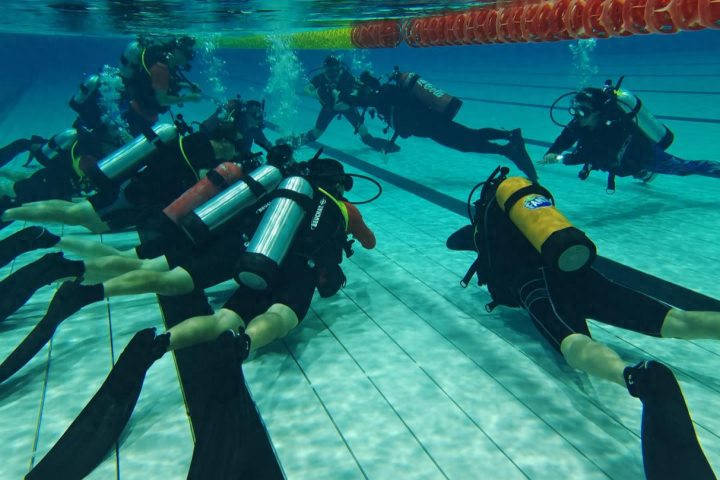 在浙江海洋大学举行的首届潜水培训班来的不仅有老师学生还有潜水爱好者