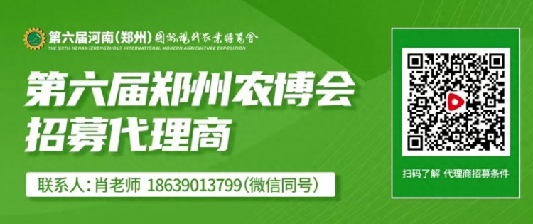 这场培训引得百余家河南外贸企业关注