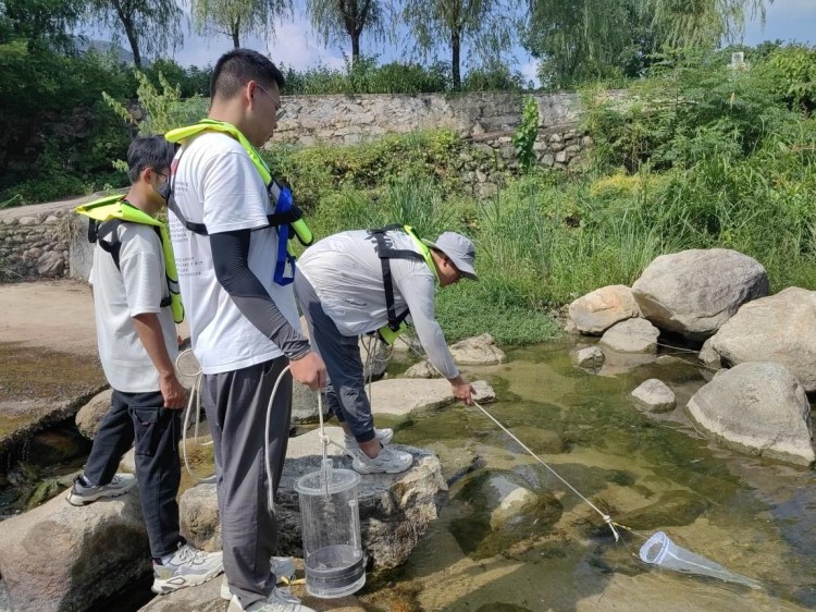 首次全覆盖到县安徽这一水生态监测培训何以值得关注