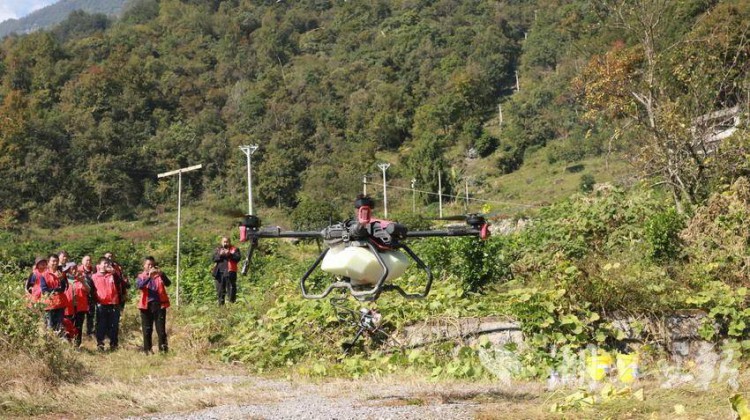 巴东：飞防培训到田间为农业插上科技翅膀